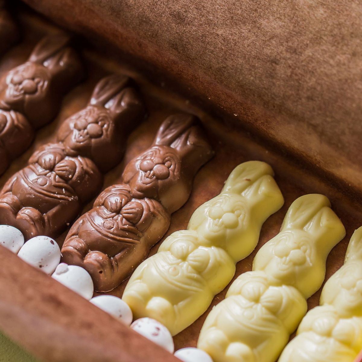 Bunnies and Speckled Eggs Discovery Tin | Milk & White Chocolate